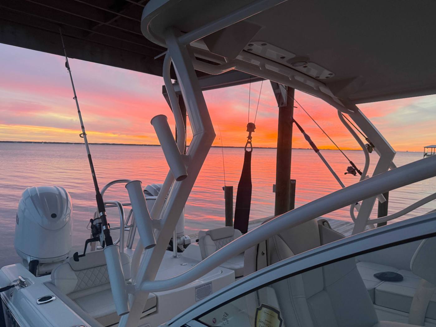 Bay Cruise Adventure