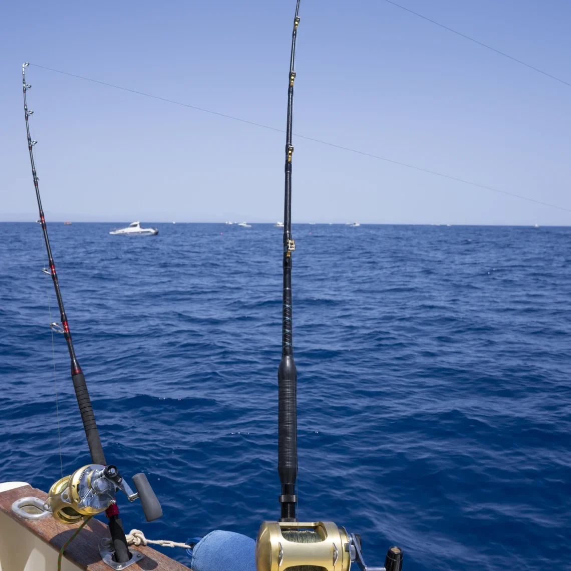 Deep sea fishing setup